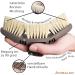 Animalon Careflex Root Brush - Natural Horse Brush with Hard Bristles Ergonomic Design Flexible Cardboard & Velcro Fastener - Premium Quality Care for Your Horse - Buy Online on SooperMarket.com