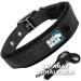 Black Rhino Comfort Collar | Super Soft Neoprene Dog Collar for All Breeds | Adjustable | Reflective & Weatherproof | Medium Size (Black) - Buy Online on SooperMarket.com