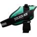 IDC Power Harness Dog Harness - Size L/1 - Grass Green | International Shipping Available - Buy Online on SooperMarket.com