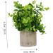 Cabilock 1pc Simulated Potted Plant Green Plants Plastic Rosemary As Shown 22x8cm - Buy Online on SooperMarket.com