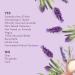 Love Home & Planet Lavender & Argan Oil Dishwasher Detergent Gel - 56 fl oz - Buy Online on SooperMarket.com