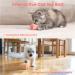 Baytion Interactive Cat Toy Ball with LED Light - USB Rechargeable (Pink) - Buy Online on SooperMarket.com