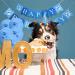 NiCoLa Boy Dog Birthday Party Supplies - Dog Birthday Hat, Banner, Bandana, Latex Balloons | Ages 1-10 Blue Decorations - Buy Online on SooperMarket.com