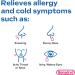 Benadryl Ultratabs Antihistamine Allergy Relief Tablets & Tylenol Extra Strength Pain Reliever Rapid Release Gels Bundle - 100ct Each - Buy Online on SooperMarket.com