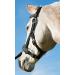 Busse Kappzaum Nylon Pro - High-Quality Equestrian Gear | International Shipping Available - Buy Online on SooperMarket.com