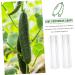 Kisangel 3pcs Vegetable Shaping Mold Cucumbers Pizza Oven Pizza Kit Fruit Shaping Mold Strawberry Loudspeaker - Buy Online on SooperMarket.com