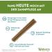 Whimzees by Wellness Stix - Natural Grain-Free Dental Care Snacks for Large Dogs | Monthly Pack of 30 Couch Sticks | Size L - 1 kg (1 Pack) - International Shipping Available - Buy Online on SooperMarket.com