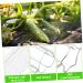 SUPVOX 4pcs Fruit Vegetables Shaping Pentagram Planting Star Accessories Plangting Plastic Mould Mold - Buy Online on SooperMarket.com