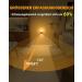 Buy Lyridz Dimmable Night Light Socket - 2-Piece LED Warm White Lamp with Motion Sensor & 3 Modes for Bedrooms Kitchen & Hallway | Ultra-High 2700K Lighting - Buy Online on SooperMarket.com