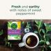 Senna Tea Bags Bundle with Traditional Stimulant Laxative Tea (2x16 bags) Smooth Move Organic Peppermint Caffeine Free - Buy Online on SooperMarket.com