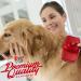 Professional Pet Grooming Kit with Self Cleaning Slicker Brush for Dogs & Cats | Reduces Shedding Fur | Includes Pet Hair Remover Gloves | Combo Gift Set - Buy Online on SooperMarket.com