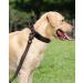Joytale Tactical Dog Collar for Large Dogs | Durable Dog Collar with Handle & QR Code Tag | Brown LL - International Shipping Available - Buy Online on SooperMarket.com
