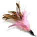 onebarleycorn Cat Toys Feather Refills for Cat Wand Toys Interactive include Replacement Feathers 1 Count (Pack of 1) - Buy Online on SooperMarket.com
