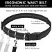 Pet Room Jogging Leash for Dogs - Elastic & Reflective Running Leash with Hip Belt for Large & Medium Dogs - Perfect for Running Jogging & Hiking - Buy Online on SooperMarket.com