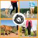 Toivize Adjustable Dog Leash for Large Dogs - 3m Nylon with Reflective Stripes 2 Carabiner Hooks & 3 Rings - Durable & Stylish Black - Buy Online on SooperMarket.com
