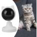USB Motion Activated Cat Laser Toy Automatic Interactive Cat Toys Suitable for Indoor Cats Dogs Fast Slow Mode - Buy Online on SooperMarket.com