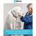 Buy Zylkene 450mg for Dogs & Cats - 50 Capsules | Calming Supplement for Stress Relief - International Shipping Available - Buy Online on SooperMarket.com