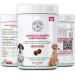 Dog Urinary Health Supplements 60 Soft Chews | Antibiotic Remedy | Stimulates Immune System & Maintains Overall Health | Cranberry & Echinacea | Wheat Free | Veterinarian Formulated Dog Urinary Care