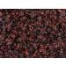 Gorilla Food Co. Cranberries Dried - 200g - Buy Online on SooperMarket.com
