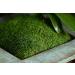 SuperMoss 21509 Sheet Moss 2oz Bag - Preserved Fresh Green Moss for Crafts and Decor - Buy Online on SooperMarket.com