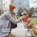Best Dog Muzzle for Small & Medium Dogs - Prevent Biting Barking & Chewing | Breathable Nylon Design Soft Adjustable Fit - Buy Online on SooperMarket.com