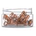 50 Pack 2oz Clear Plastic Containers with Lids - Ideal for Sugar Scrubs, Cosmetics, Lotions, Body Butters, and Slime - Refillable and Durable - Buy Online on SooperMarket.com