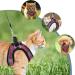 Ankilo Upgraded Harness with Leash Set Escape Proof Dog Vest Harnesses Vest Harnesses with Soft Mesh and Reflective Bands No Pull Small Dog Harness for Cats and Small Dogs (Rose-red S) - Buy Online on SooperMarket.com
