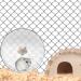 iFCOW 17CM Silent Hamster Running Wheel - Exercise & Toy for Gerbils, Mice, Small Animals - Buy Online on SooperMarket.com