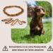 PetLove 100% Baltic Amber Dog Necklace | 45cm Collar for Dogs & Cats - International Shipping Available - Buy Online on SooperMarket.com