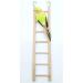 Wooden Bird Parrot Cage Climbing Ladder Toy - 2pcs (5 Step & 7 Step) - Buy Online on SooperMarket.com