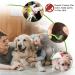 Reastar Tick Remover for Dogs 5PCS Tick Removal Tool Dog Tick Remover with Set of 3 Tick Hook 1 Tick Removal Pen and 1 Tick Comb - for Dogs Cats Humans - Buy Online on SooperMarket.com
