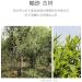 Pu-erh 2020 SHENG JIA YUAN Pasha 357g Raw - Buy Online on SooperMarket.com