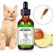 Natural Antibiotics for Cats Cat Antibiotics- Cat Multivitamin is anti-bacterial effect antibiotics for cats Supports Immune & Cats Allergy Relief Health Supplies Cats UTI Antibiotics(60ml) - Buy Online on SooperMarket.com
