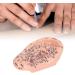 6.7 inch Silicone Ear Acupuncture Model - Ideal for Acupoint Learning & Home Care - Buy Online on SooperMarket.com