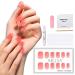 AILLSA Press On Nails - Short Glue On Fake Nails Set | 15 Sizes 37-Piece with Glue Grapefruit - Buy Online on SooperMarket.com