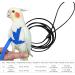Newsmy Bird Harness Adjustable Feather Tether Parrot Harness Leash Outdoor Training Carrier for Budgerigar Lovebird Cockatiel Mynah Cockatoo Parakeet Macaw (Blue S) - Buy Online on SooperMarket.com
