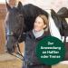 Equisept Fly & Brake Medallion 2 Pack | Innovative Insect Defense for Horses | Easy to Attach to Halter or Bridle | Doping-Free & Lasts Up to 4 Weeks - Buy Online on SooperMarket.com