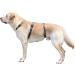 Kerbl 80044 Panic Harness Miami | Escape-proof Dog Harness | Grey 64-100cm | International Shipping Available - Buy Online on SooperMarket.com