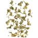 AniCanis Organic Artichoke Herb for Dogs - Dried Artichoke Vegetables - Natural Food Additive - 100g | International Shipping Available - Buy Online on SooperMarket.com