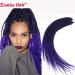 6 Packs Eunice Hair Long Braids Extensions 24 Inch - T1B/Purple Kanecalon for DIY Crochet - 100g/Pack - Buy Online on SooperMarket.com