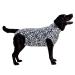 MPS Medical Pet Shirt Dog Surgery Recovery Suit Zebra-Print Medium + Medium+ (plus)