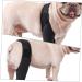 GANAZONO Dog Hindleg Cover Paw Butter Balm for Dogs Comfy Brace Dog Rear Leg Splint Care Elbow Pads S As Shown - Buy Online on SooperMarket.com