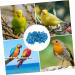 FRCOLOR 200 Pcs Pigeon Anklet Plastic Tags Chicken Foot Bands Dove Pigeon Foot Bands Baby Chicken Foot Ring 1X1X0.8CMx2pcs Bluex2pcs - Buy Online on SooperMarket.com