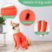 ETDANE Surgical Recovery Suit for Dogs - Anti-Hair Loss Long-Sleeved Pile Suit in XXL Orange - Comfort for Male & Female Dogs - Buy Online on SooperMarket.com