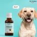 Dr Corbyn Pets Echinacea Drops 50ml | Immunity Support for Dogs & Cats | Natural Echinacea Supplement - Buy Online on SooperMarket.com