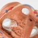 3B Scientific VD253 7 Part Heart Model 7.9-Inchx5.9-Inchx6.7-Inch - Buy Online on SooperMarket.com