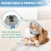Supet Cat Cone Collar Soft to Stop Licking Cat Recovery E Collar After Surgery Cat Neck Head Cone Alternative for Small Large Cats Kittens Grey M+(8.5"-12") Grey - Buy Online on SooperMarket.com
