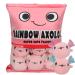 HXPLN Cute Snack Pillow Axolotl Plush Pillow Kawaii Pudding Pillow with Axolotl Salamander Doll Removable Stuffed Animal Toys Cushion Birthday Creative Gift for Kids Girls Boys (6 Pink Axolotl) 6 Pink Axolotls