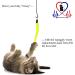 Pet Fit For Life 5 Piece Replacement Worm Pack for Cat Toy Wands - Buy Online on SooperMarket.com
