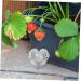STOBOK 4pcs Melon Forming Gardening Major Molds Garden Design Plastic Fruit Heart Tools Small Strawberry - Buy Online on SooperMarket.com